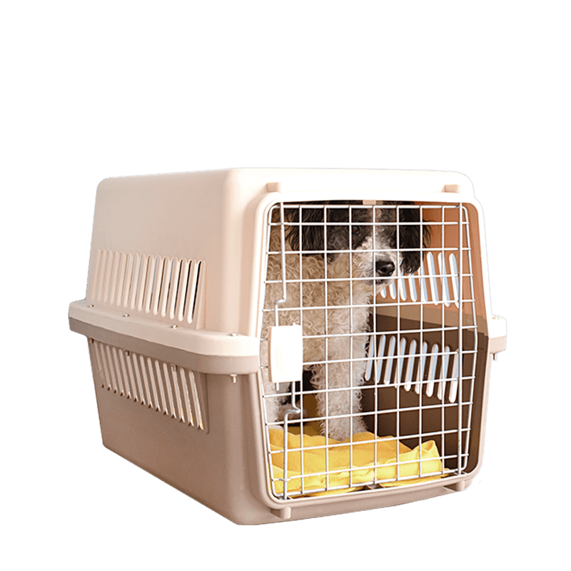 Plastic Dog Carrier medium